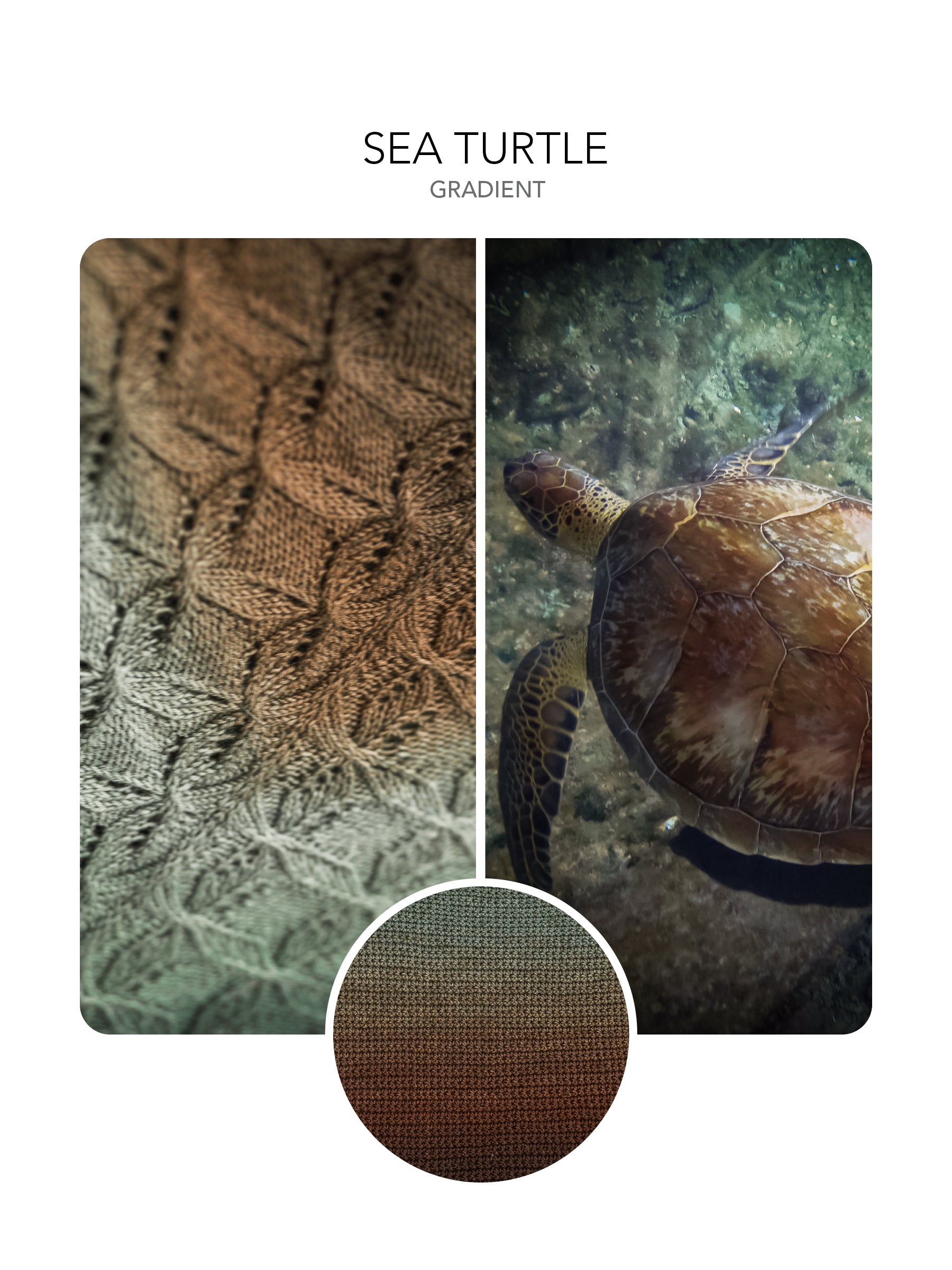 Sea Turtle - Sweaters – The Blue Brick | Inspired Works